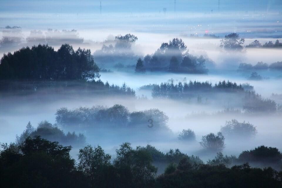 梦幻西游手游