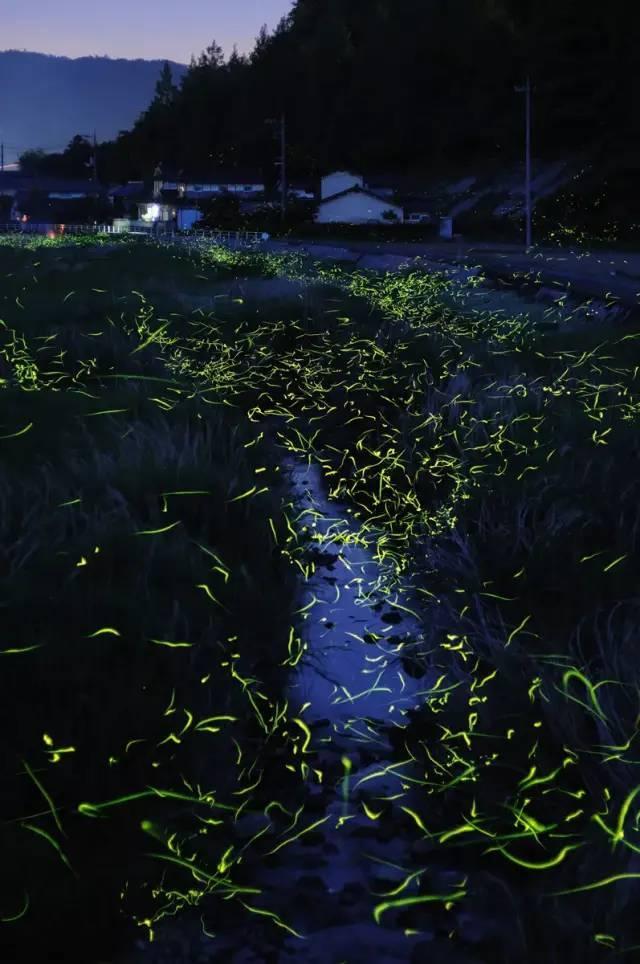 沙漠中寻宝