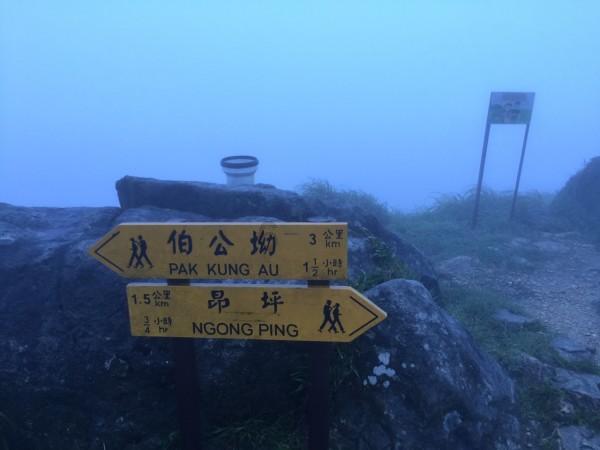 逃离幻想冰淇淋场