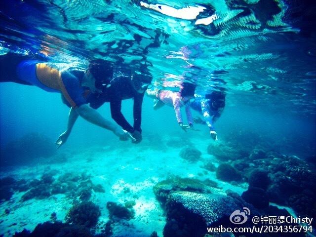 逃出白海豹洞