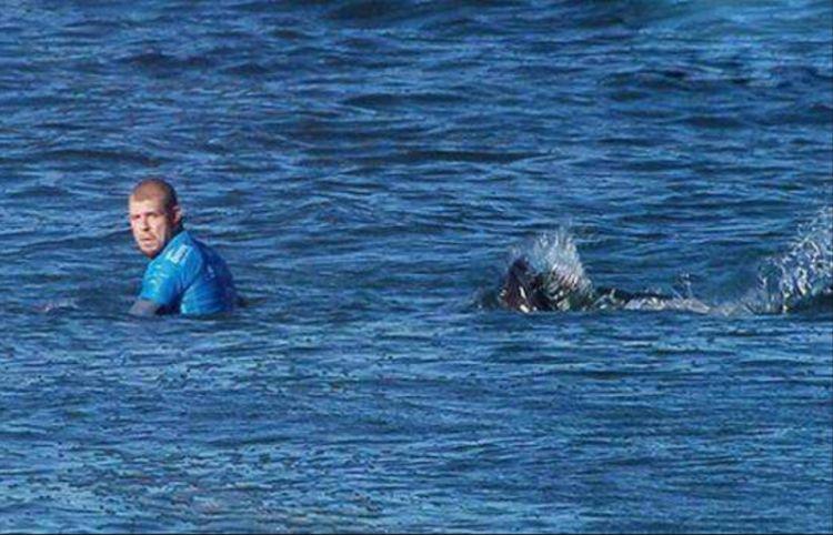 海滩小镇逃生