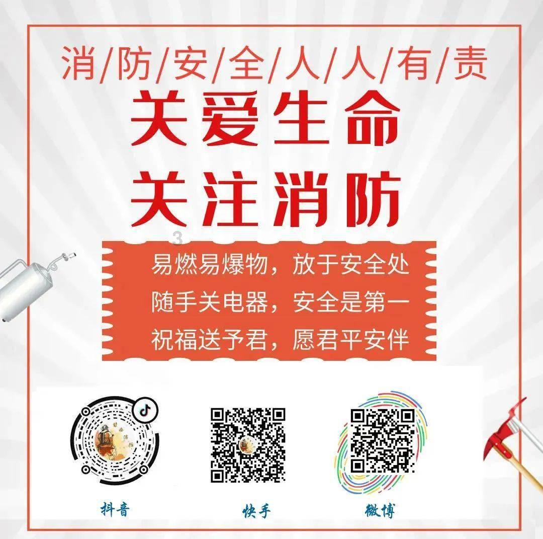 金牌保镖熊先生
