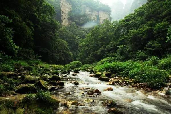 终结者2官方手游
