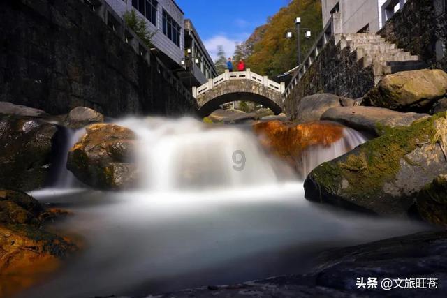 危险森林大逃脱