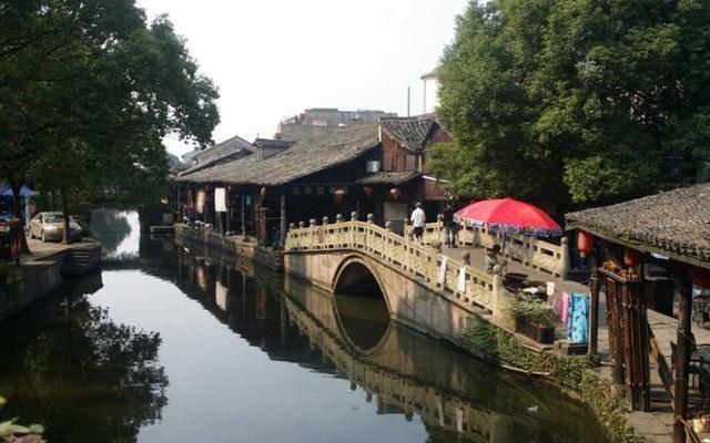 拯救小萌虎