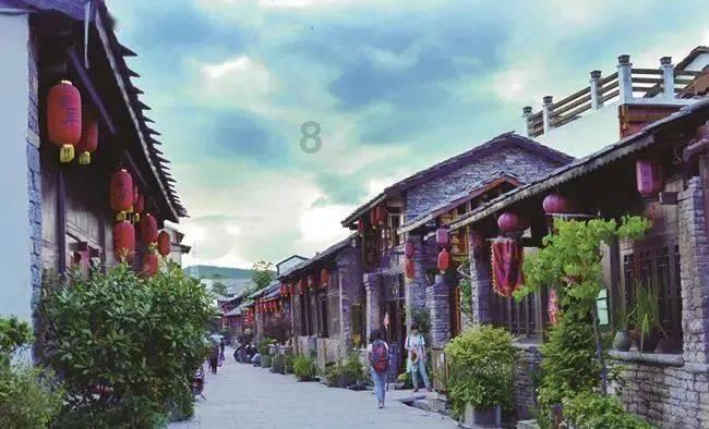 为“中国稻种基地”建设多作贡献