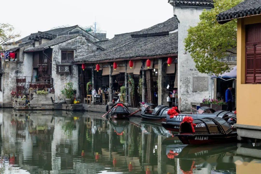 小艾比当营养师