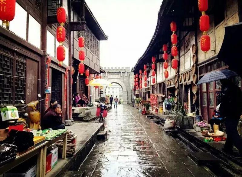 拯救精灵的土地10
