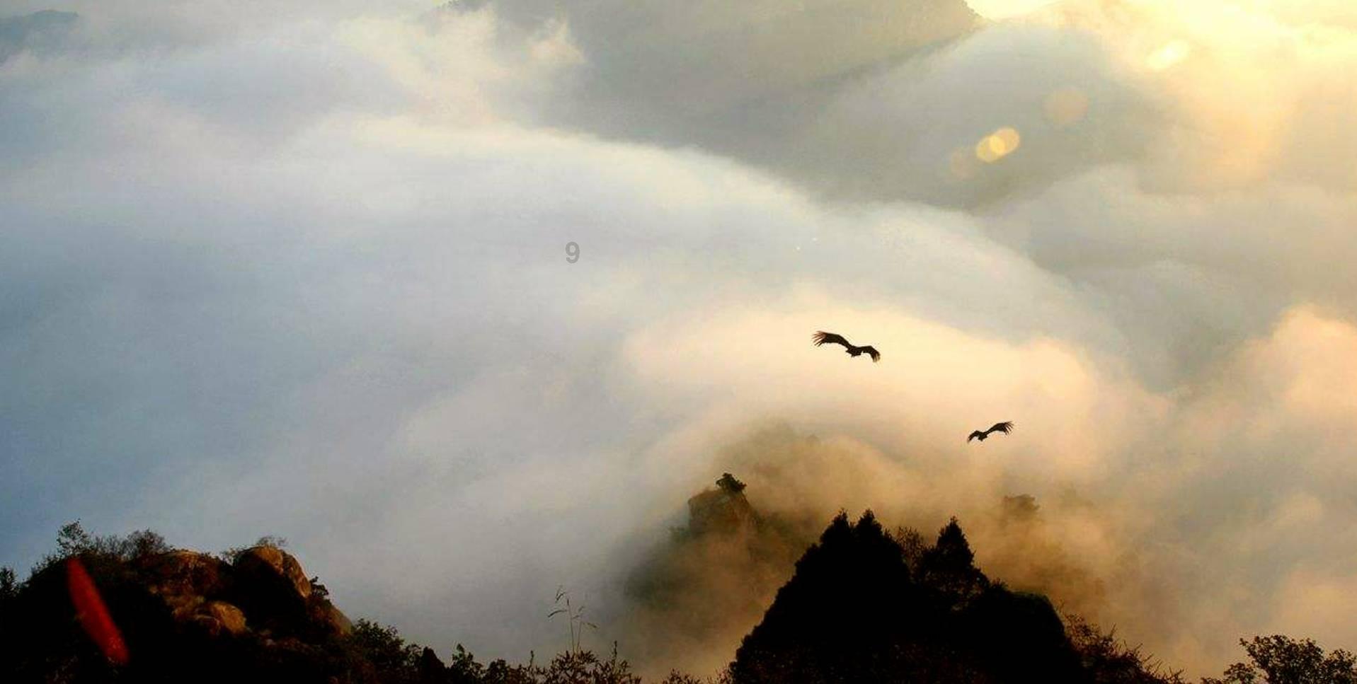 河南暴雪来临!许昌、洛阳、平顶山已开始下雪,车身被雪覆盖,应天门广场一片白
